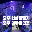 과수원어린이공원(어20) | 충주 가 볼만한 곳, 충주 아쿠아리움 개장정보 입장료 주차 등 관람 솔직후기