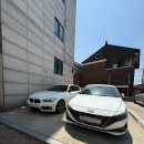 세화로168번길 | 댕이픽 엘오브 속눈썹펌 내돈내산 후기