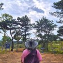 진주중부농협로컬푸드지점하나로마트 이미지