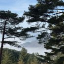 김삿갓면-19 | 강원도 영월 운해 캠핑 <구름품은캠핑장> / 산속 겨울 설중 캠핑 추천 명당 데크9번 내돈내산 솔직 후기