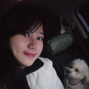 (아이마트) 수산점 | 밀양아리랑 오토캠핑장 116번