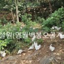 영월동물복지농장 이미지