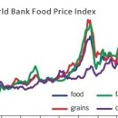 세계 은행, 글로벌 식량 위기 대응을 위한 계획된 조치 발표 이미지