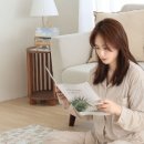 사계절 세탁 이미지