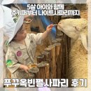 [푸꾸옥] 푸꾸옥 빈펄 사파리 주키퍼 나이트 사파리 후기 1
