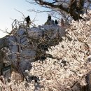 월악산정 이미지