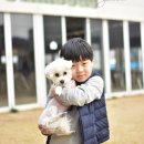 별이 이미지
