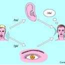 가족오락관 이미지