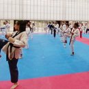 형제3태권도 이미지