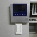 그린비디오 이미지