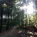 검바위약수터 이미지