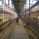 지원한우농장 이미지