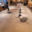 리 디자인 호텔 | [공지] 대만 호텔 그레이스리 타이베이 Hotel Gracery Taipei 고질라 룸 숙박 후기