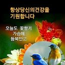 나도44