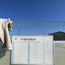 전주미산초등학교 | 전주 연두테니스에서 테니스 레슨 후기 / 전주 테니스 동호회에 들어가고 싶다면?