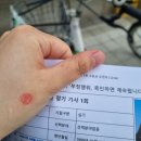 금별 맥주(신방화역점) | [2024.04] 역행의 역행의 역행을 더한..
