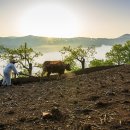 농부의 아침 이미지