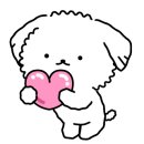따숩개하우스 이미지