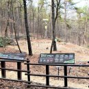 수원-1968 이미지