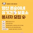 세븐일레븐 부산동대신2호점 네이버블로그