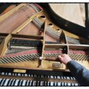 사랑채 노인복지회관 이미지