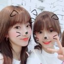 아이엠이코리아