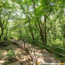 바라산