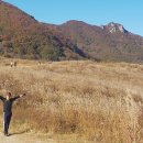 검암목장 이미지