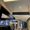 제노스템 용산센터 | 신세계면세점, 신라아이파크면세점 신나는 9월 선불런 후기 (초보들 커먼 떠먹여드림)