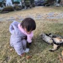 잉꼬가든 이미지