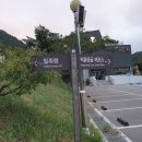 2026.4/4(토) 정선 동강 백운산(883.5m)블랙야크100대명산 이미지