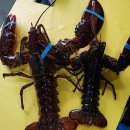 왜관ic실내바다낚시터 이미지