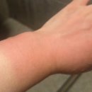 돌고래바나나노래연습장 | 필리핀 보홀 자유여행 호핑투어 발리카삭 거북이랑 돌고래 떼 보고 왔어요 한인업체 이용후기 내돈내산