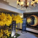 합성동254 | 창원 타로, 마음이 편안해지는 고민 상담 묘재의 타로