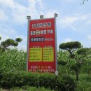 홍천화로구이 이미지