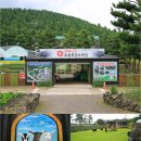 불로초목장 이미지