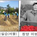 김창배 농장 이미지