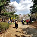 천주산 만남의 광장 이미지