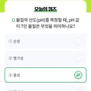 2/2 농협 올원뱅크 디깅퀴즈 이미지