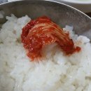 불고기맛난집 | 광양 대중식당 토박이가 강추하는 불고기 맛집 내 돈 내산 리얼 후기