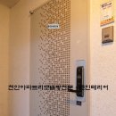 신방한라동백@ 2 이미지