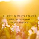 하나님의 법을 지키는 안상홍님 믿는 하나님의교회 이미지