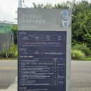 그늘막65 | 이마트 피크 아웃도어 에어그늘막, 잠실한강공원에서 직접 펼쳐본 후기 ⭐
