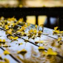 정촌유기농원 이미지