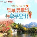 제이티비 이미지