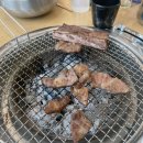 폭풍장어 이미지