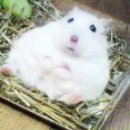 휴티