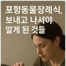 이별공간 | 포항동물장례식, 단 한 번뿐인 이별을 후회 없이 준비하려면