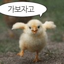 시우정육