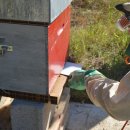 미망인경로당 이미지